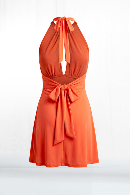 Elisa Halter Plunge Neck Tie Back Waist Mesh Dress