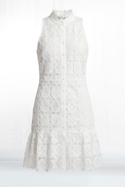 Regan Sleeveless High Collar Crochet A-Line Mini Dress