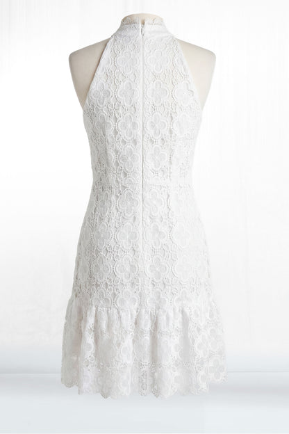 Regan Sleeveless High Collar Crochet A-Line Mini Dress